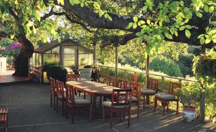 Outdoor dining terrace beneath mature trees at Bayside Marin