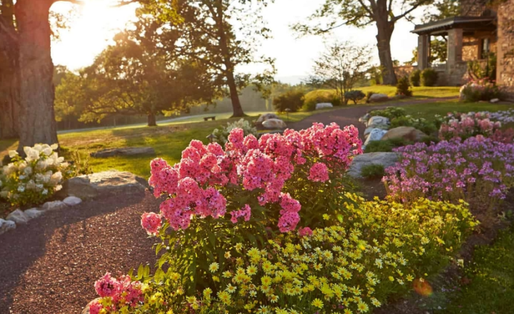 Flower gardens and walking path beside the CMC Berkshires residential building