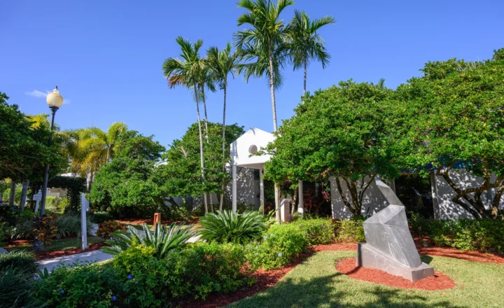 Palm-lined grounds and treatment buildings at Hanley Center in West Palm Beach