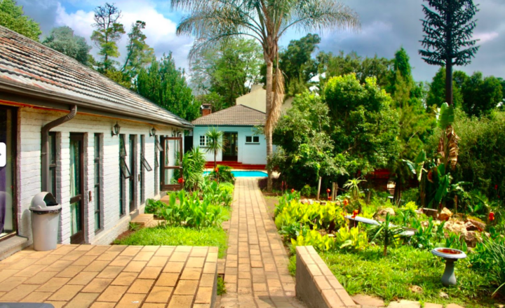 Garden pathway at The Foundation Clinic in Johannesburg