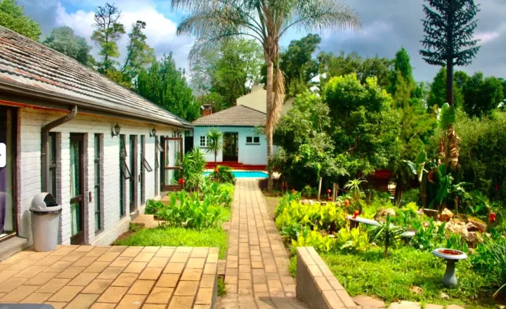 Garden pathway at The Foundation Clinic in Johannesburg