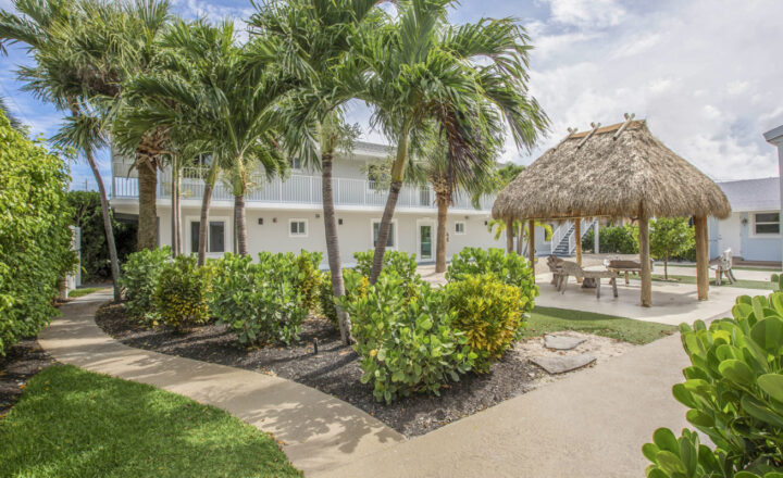 Palm-lined exterior of Zinnia Health Singer Island in Riviera Beach