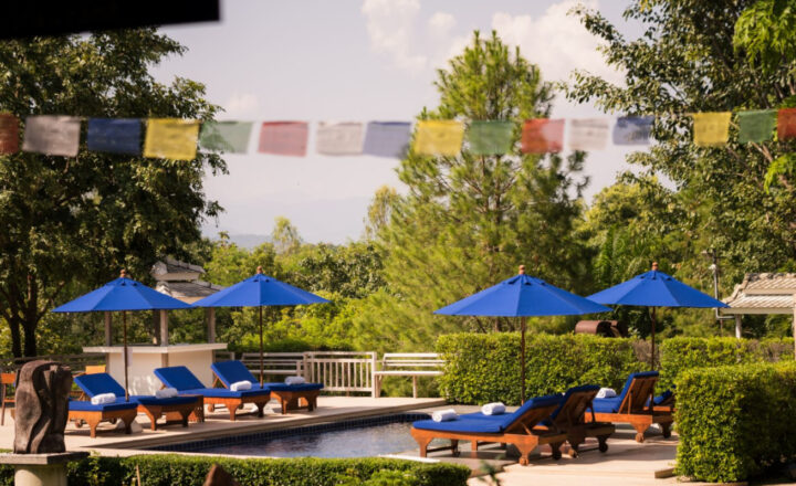 Pool terrace with blue loungers and umbrellas at The Beekeeper House in Chiang Mai