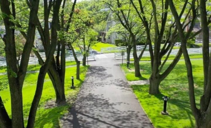 Tree-lined walkway on the Caron Pennsylvania campus