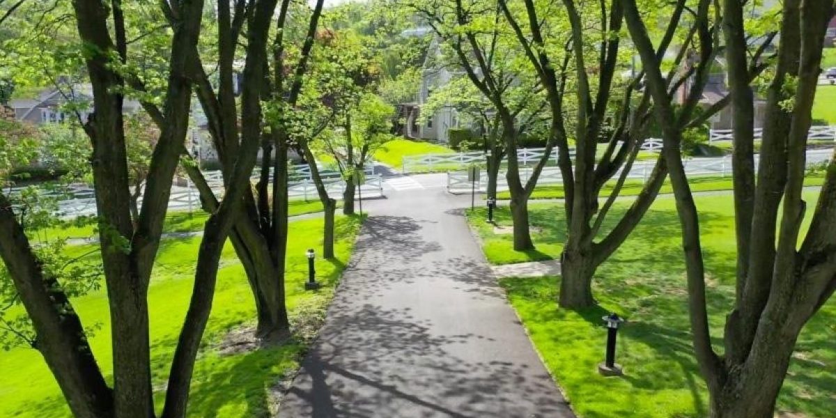 Tree-lined walkway on the Caron Pennsylvania campus