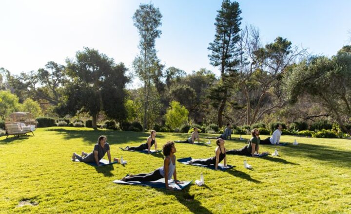 Outdoor yoga on the grounds at Cliffside Malibu