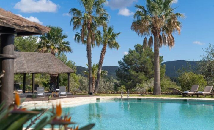 Pool and landscaped grounds at Ibiza Calm