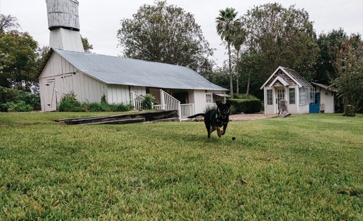 Exterior of The Prairie Recovery Center campus in Round Top, Texas