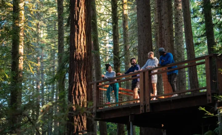 Four people talking on a wooded walkway in Windhorse Portland program photography